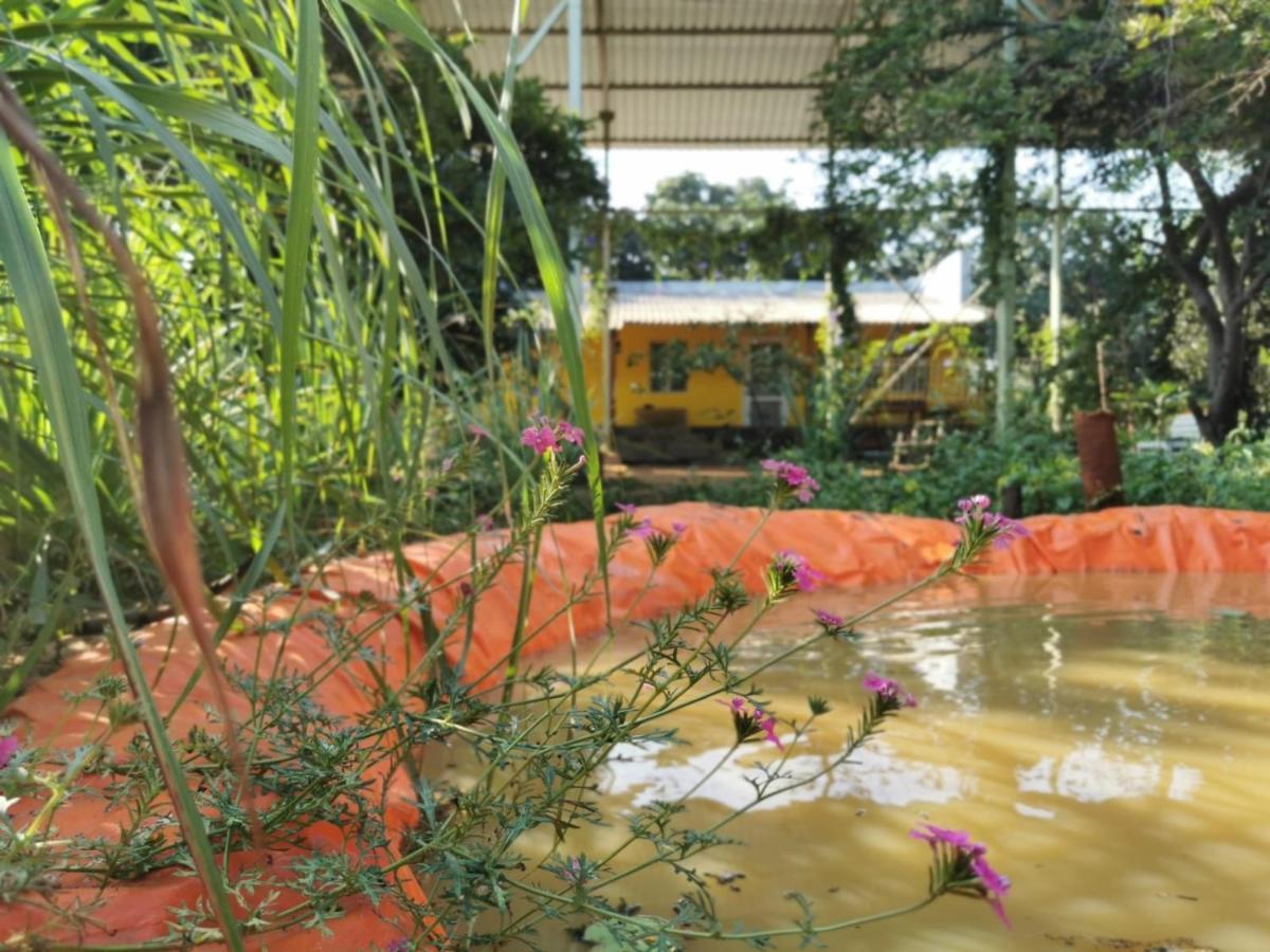 Hornbill Farm Resort Hyderabad Exteriör bild