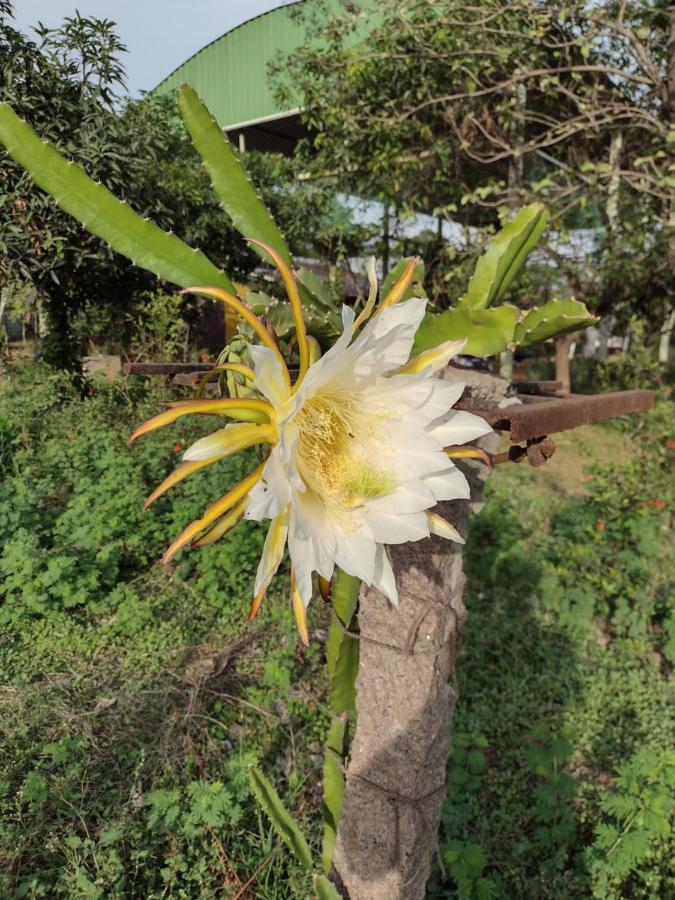 Hornbill Farm Resort Hyderabad Exteriör bild